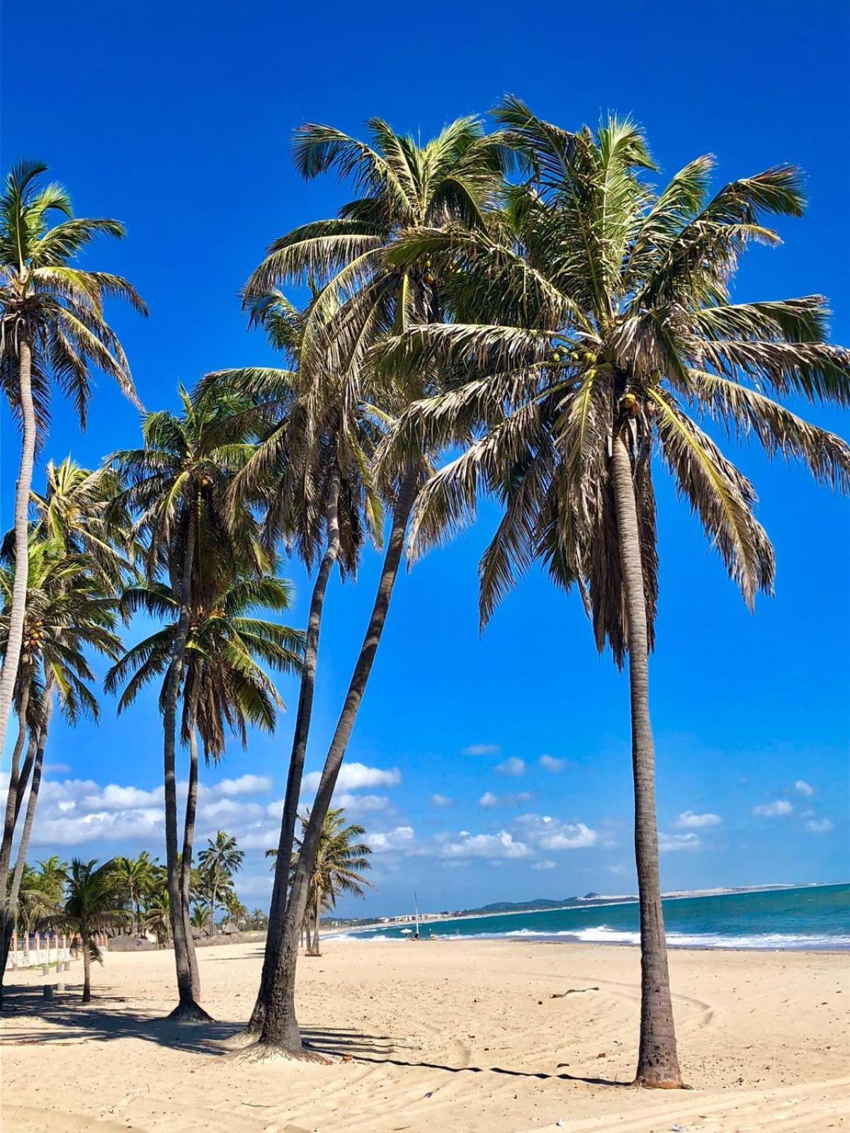 Wind Villa Cumbuco - Apartamento Bagian luar foto